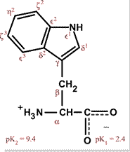 Chemical structure for tryptophan