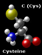 molecular structure for  HS-CH2-CH(NH3)-COO