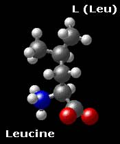 Molecular Structure for Leucine (CH3)2-CH-CH2-CH(NH3)-COO