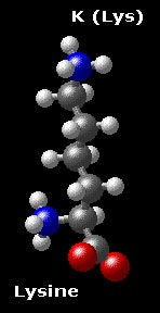 Molecular structure for lysine H2N-(CH2)4-CH(NH3)-COO