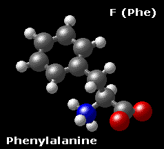 Molecular structure of phenylalaline