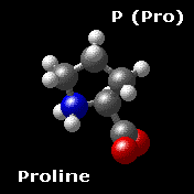 Molecular Structure of proline, NH2-(CH2)3-CH-COO