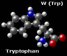 molecular structure of tryptophanPh-NH-CH=C-CH2-CH(NH3)-COO