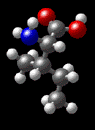 Molecular structure of isoleucine C6H13NO2 