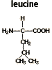 Chemical structure of leucine C6H13NO2 