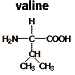Chemical structure of valine C5H11NO2 