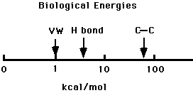 Illustration of biological energies in Kcal/mol