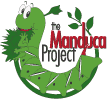 The Manduca Project