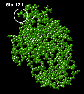 An antigenic determinant