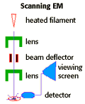 Illustration of scanning EM