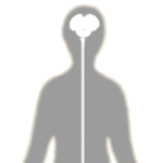 central nervous system